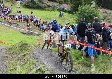 Cathkin Braes, Glasgow, UK. 7. August 2018. Die Männer, s cross country Mountainbike Studien über Cathkin Braes gehalten wurde, im Süden von Glasgow City mit einem Feld von 59 internationalen Reiter, die Versuche von Lars Forster aus der Schweiz Kredit gewonnen wurde: Findlay/Alamy leben Nachrichten Stockfoto