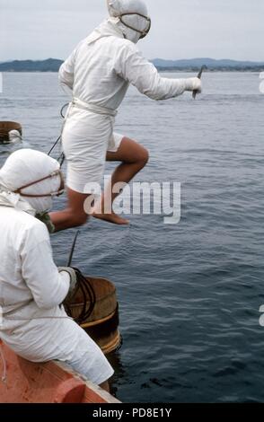 Ein Pearl Diver springt von einem Boot in der Nähe der Pearl Island von Toba (Shima Halbinsel) für den nächsten Tauchgang in das Wasser. (Undatierte Aufnahme). Zuchtperlen, wie natürlich gewachsen Perlen, sind in der perlmuschel durch eine Trennung von Mutter gebildet - von - Perle um ein Fremdkörper in der Shell. Für die Zucht dieser Fremdkörper ist absichtlich in den jungen Perl Austern hinterlegt. Wie in der natürlichen Prozess, es dauert etwa sieben Jahre für eine Perle, um zu reifen. Die perlmuscheln sind 'geerntet' durch die so genannte Ama Frauen, die Japaner Pearl Diver. | Verwendung weltweit Stockfoto