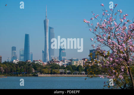 Guangzh, Guangzh, China. 8 Aug, 2018. Guangzhou, China - Landschaft von Haizhu Lake National Wetland Park in Guangzhou, Provinz Guangdong im Süden Chinas. Credit: SIPA Asien/ZUMA Draht/Alamy leben Nachrichten Stockfoto