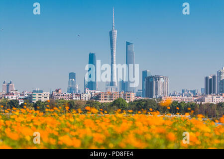 Guangzh, Guangzh, China. 8 Aug, 2018. Guangzhou, China - Landschaft von Haizhu Lake National Wetland Park in Guangzhou, Provinz Guangdong im Süden Chinas. Credit: SIPA Asien/ZUMA Draht/Alamy leben Nachrichten Stockfoto