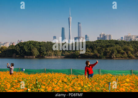 Guangzh, Guangzh, China. 8 Aug, 2018. Guangzhou, China - Landschaft von Haizhu Lake National Wetland Park in Guangzhou, Provinz Guangdong im Süden Chinas. Credit: SIPA Asien/ZUMA Draht/Alamy leben Nachrichten Stockfoto