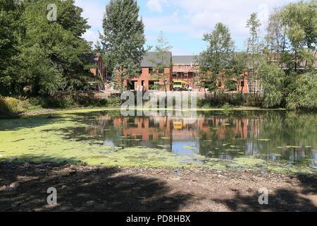 Smethwick, West Midlands, UK. 8. August 2018. Ein Pool ist geschlossen worden, die bis zu 45 Vögel, vor allem Kanada Gänse, haben in den letzten Wochen nach Bakterien in einem Pool im Victoria Park, Smethwick, in der Nähe von Birmingham entwickelt, aufgrund der neuen heißen Wetter enthalten. Ein Sprecher der RSPCA vermutet, dass die Vögel starben nach Vertragsparteien Vogelbotulismus. Peter Lopeman/Alamy leben Nachrichten Stockfoto