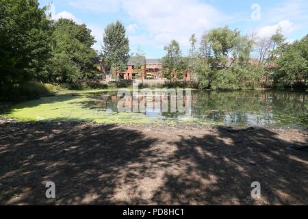 Smethwick, West Midlands, UK. 8. August 2018. Ein Pool ist geschlossen worden, die bis zu 45 Vögel, vor allem Kanada Gänse, haben in den letzten Wochen nach Bakterien in einem Pool im Victoria Park, Smethwick, in der Nähe von Birmingham entwickelt, aufgrund der neuen heißen Wetter enthalten. Ein Sprecher der RSPCA vermutet, dass die Vögel starben nach Vertragsparteien Vogelbotulismus. Peter Lopeman/Alamy leben Nachrichten Stockfoto