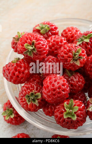 Hybrid strasberry Obst in Schale Stockfoto