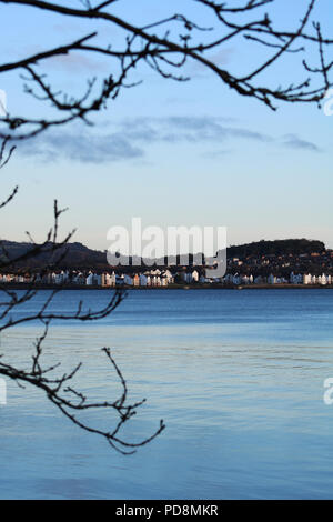 Abendlicher Blick entlang der Küste zwischen Ästen, River Forth Schottland Stockfoto