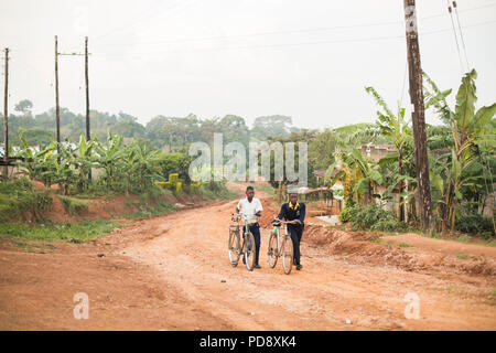 Schülerinnen und Schüler fahren mit dem Fahrrad in den frühen Morgenstunden in Mukono, Uganda in die Schule. Stockfoto