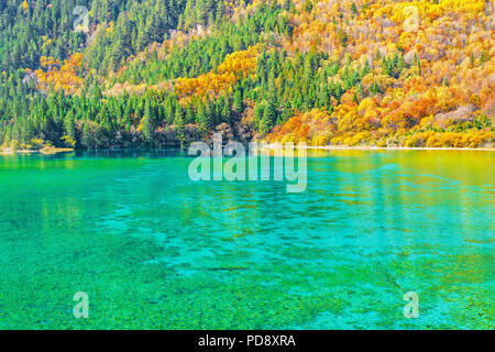 Luftaufnahme von fünf Blume See im Herbst Sonnenaufgangszeit. Stockfoto