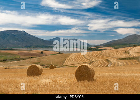 Theewaterskloof Dam und die umliegende Landschaft, Overberg Region, Provinz Western Cape, Südafrika. Stockfoto