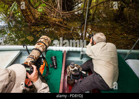 Zwei Naturfotografen in einem Boot in einem Der Sidearms der Gatun See, Republik Panama. Stockfoto