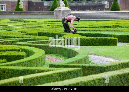 Gärtner schneiden die niedrige Buchsbaum Hecken am Wasserschloss Schloss Nordkirchen, Deutschland Stockfoto