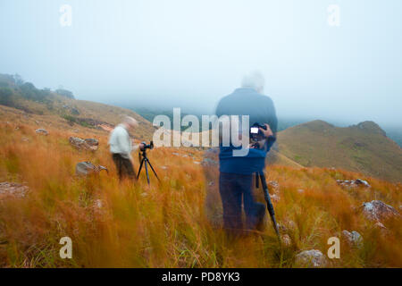 Outdoor Fotografen in Altos de Campana Nationalpark, Republik Panama. Stockfoto