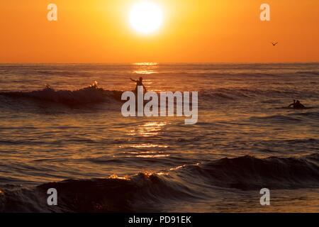 Surfer und Einheimischen nehmen an den Strand und ihre surfbretter während der abschließenden Momente der Tageshelligkeit. Stockfoto