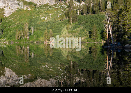 Reflexion der Bäume und Wald in den ruhigen Wassern eines alpinen See - Lake George in den Mammoth Lakes Bereich der kalifornischen Sierra Nevada Stockfoto