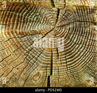 Sehr alte Schließen-log. Querschnitt des Holzes. Tiefe Furchen und Risse. Stockfoto