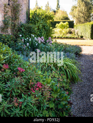 Bett im Garten gepflanzt Stockfoto