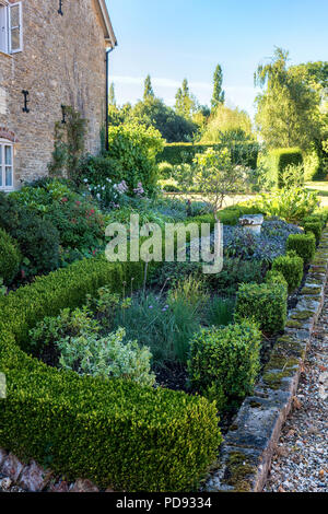 Garten Bett gerahmt mit Box hedge Stockfoto