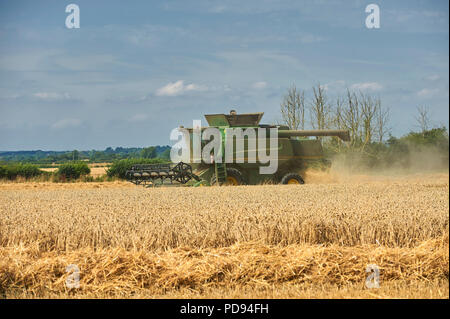 John Deere Mähdrescher schneiden Weizen in der East Riding von Yorkshire, England, UK, GB. Stockfoto