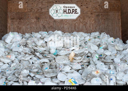 Ein volles Ausgabefach von meist zerkleinert dreckig aus Polyethylen hoher Dichte, HDPE, Kunststoffbehälter im Hamilton County Recycling center in See angenehm, NY, USA Stockfoto
