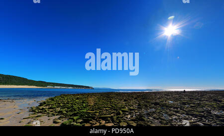 Tausende von Felsen mit Schlamm bedeckt sind, der am Ufer des Meeres bei Ebbe am Strand von Los Caños de Meca ausgesetzt, in der Provinz Cadiz, südlichen Spa Stockfoto