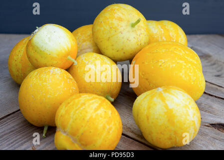 Zitrone Gurken, auch als Cucumis sativus auf einem rustikalen Holzmöbeln Hintergrund bekannt. Stockfoto