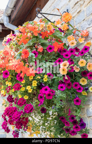 Nahaufnahme eines farbenfrohen Sommerkorbs, England, Großbritannien Stockfoto