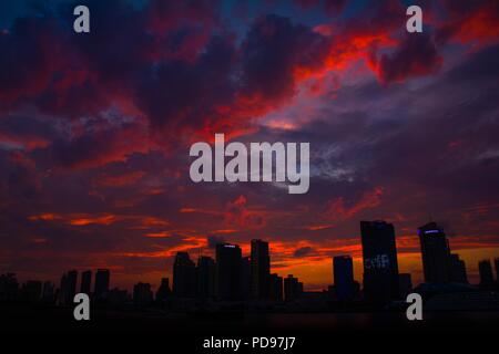 In der Botanik, ein Baum ist eine mehrjährige Pflanze mit einem länglichen Stengel oder Stamm, Äste und Blätter in den meisten Arten Stockfoto