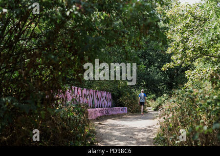 Bunte Graffiti gesprüht auf stillgelegten Eisenbahn Brücken entlang den Park zu Fuß, eine alte Bahnstrecke und jetzt Londons längste lokale Natur finden Stockfoto