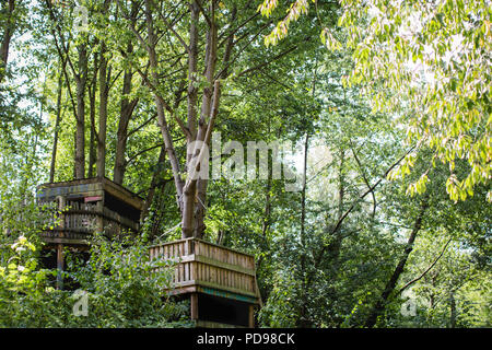 Eine Wiese von seltenen sauren Wiesen im Park Spaziergang Nature Reserve, ausgeführt von der Finsbury Park auf Highgate, im Norden von London Stockfoto