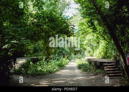 Stillgelegte, überwucherten Bahnsteigen Beton des alten Crouch End Station entlang der alten Bahnlinie/Track auf die Parklandschaft Spaziergang in Haringey, N. London Stockfoto