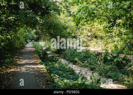 Stillgelegte, überwucherten Bahnsteigen Beton des alten Crouch End Station entlang der alten Bahnlinie/Track auf die Parklandschaft Spaziergang in Haringey, N. London Stockfoto