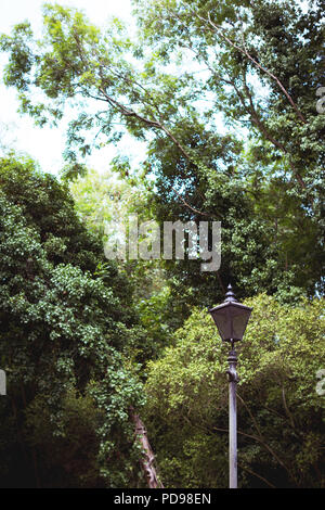 Ein altes Bügeleisen arbeiten Lamp Post am Holmesdale Straße Eingang zum Park gehen, Londons längste Naturschutzgebiet in Haringey, nördlich von London Stockfoto