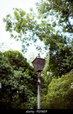 Ein altes Bügeleisen arbeiten Lamp Post am Holmesdale Straße Eingang zum Park gehen, Londons längste Naturschutzgebiet in Haringey, nördlich von London Stockfoto