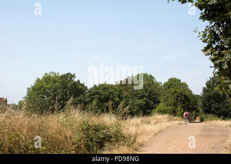 Eine Person, die zu Fuß in Richtung Highgate von Finsbury Park auf den Park zu Fuß, einem Naturschutzgebiet in Haringey North London Stockfoto