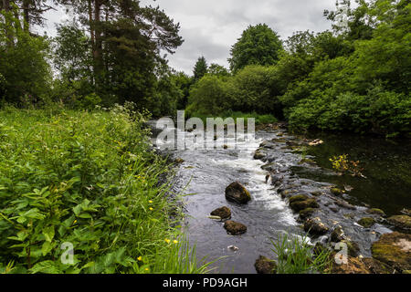 Fluss Maine fließt durch Galgorm Holz, Ballymena, County Antrim, Nordirland. Stockfoto