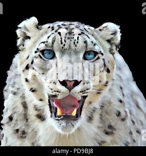 Vektorgrafiken von Snow Leopard mit schwarzem Hintergrund Stock Vektor