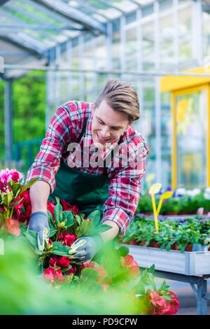 Florist während der Arbeit in einer modernen Blumenladen gewidmet Stockfoto