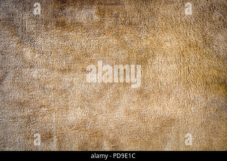 Grüner Stoff Textur Stockfoto