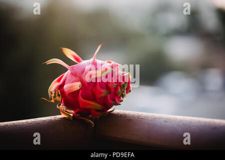 Close up Essen Bild von dragon Obst. Travel inspiration Foto mit einer geringen Tiefenschärfe. Blur Hintergrund mit Copyspace für Design. Stockfoto