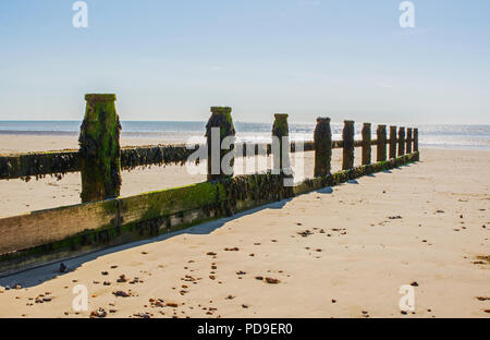 Holz- groyne am Sandstrand bei Chichester in West Sussex, England. Ebbe. Stockfoto