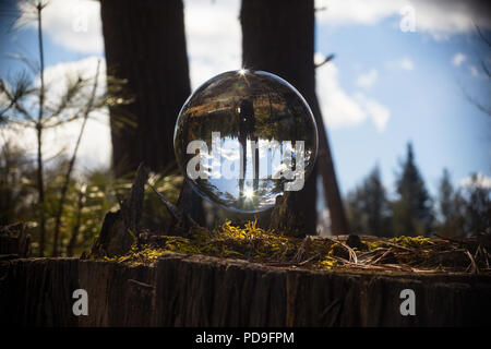 Glas Kristall objektiv Ball in der Landschaft Up Side Down Phänomen Optik Physik übersicht Wald Holz landet mit blauer Himmel Stockfoto