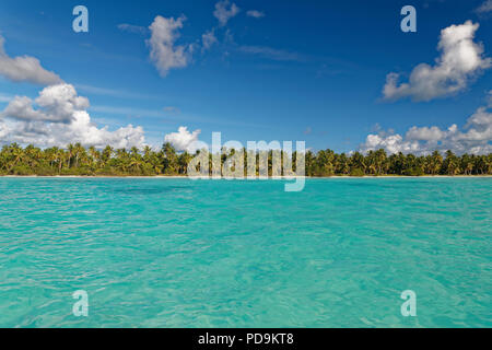 Beach Dream, Sandstrand mit Palmen und türkisfarbenes Meer, bewölkter Himmel, Parque Nacional del Este, Insel Saona, Karibik