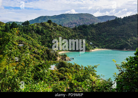 Blick über die Marlborough Sounds, Südinsel, Neuseeland Stockfoto