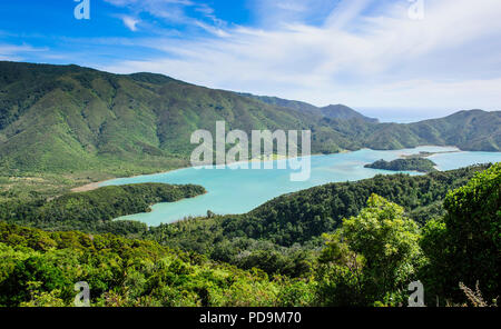 Blick über die Marlborough Sounds, Südinsel, Neuseeland Stockfoto