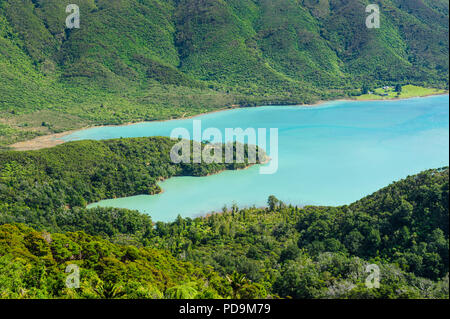 Blick über die Marlborough Sounds, Südinsel, Neuseeland Stockfoto