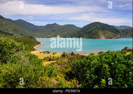 Blick über die Marlborough Sounds, Südinsel, Neuseeland Stockfoto