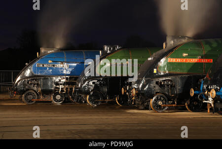 Sechs A4 s Line Up in Shildon am 18.2.14 während der Erfassung der erhaltenen A4 Pacifics. 4468, 60009,60007,60008,4464 & 4489 Stockfoto