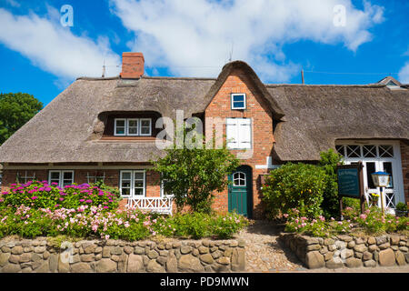 Reetgedeckten friesischen Haus in Wyk auf Föhr, Föhr, Nordfriesland, Schleswig-Holstein, Deutschland Stockfoto