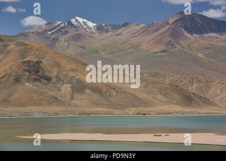 Kamele auf einer Sandbank am Emerald Lake Yashilkul, Pamir Highway, Tadschikistan. Stockfoto