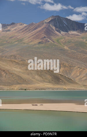 Kamele auf einer Sandbank am Emerald Lake Yashilkul, Pamir Highway, Tadschikistan. Stockfoto