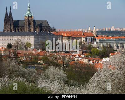 Panoramablick auf Prag und Schloss, Tschechische Republik, Europa Stockfoto